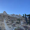 Aquila Peak on the far right. There is a trail seen here, left of the foreground Joshua,  breaking off of the most obvious one. This will take you to the dike, crossing over that to the west will reveal the chute with the chipped holds.