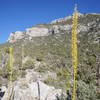 The Story Crag from the approach trail.