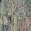 Janet on the excellent 5.6 P5 of Grand Giraffe.