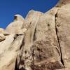 Desert Queen with the Beak Boulder in the background