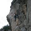 Tony leading Boulder Quartz System.