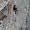 Kirk Miller took this picture of Mark Rolofson just above the first crux.  The old route to the first anchor took me five days to scrub and bolt, alone, often in the dark, after work.  Mark put in the cool roof finish several years later.  <br>
<br>
I used to always say that a bolter's reward for doing a new route was listening to others complain about it.  But you guys have really spoiled me with your positive comments.  Thank you very much!<br>
<br>
<br>
<br>
  