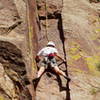 Janet Conner stemming the crux slot on the first pitch.