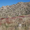 The hills above Cottonwood.