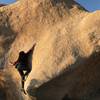 Tina mounting the slab in the golden hour