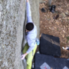 Gritish Invasion, V7.