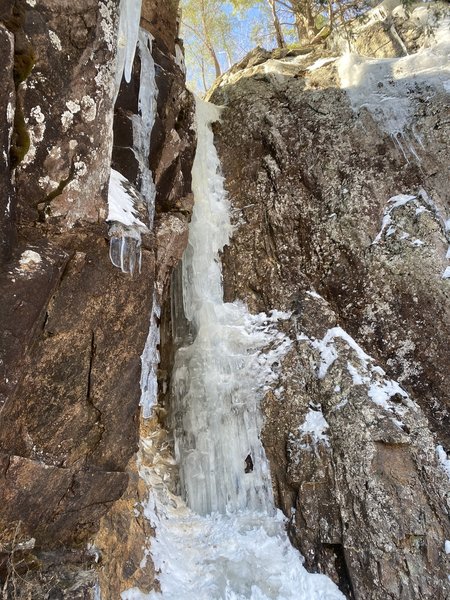 Top of the gully.