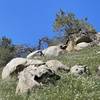 Buzzard's Roost Boulders (east and uphill of the trailhead)