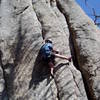 The crux is completely over when you reach the flake left of the two tiny bushes. To get there involves a series of pretty hard moves starting from below Chuck.<br>
<br>
Is it cheating to use the holds out right?  I don't think so, although I would consider it cheating to stem all the way over to Sports Pages, the wider crack on the right. Who's to say when natural crack climbs are this close to each other?