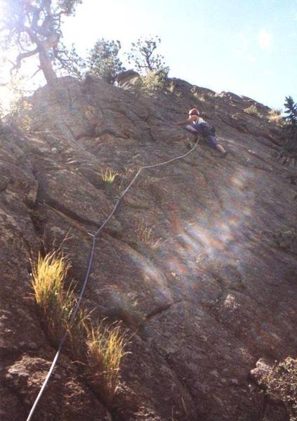 Deb Thompson on Sherwood Forest, P3.