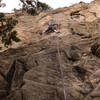 On the easier middle ground. The awkward start of route is at the black streak at the bottom left of the photo. The route diagonals right from the climber and then makes a hard move straight left to the anchors. <br>
<br>
Photo by Paul Rezucha.