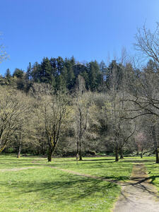 The top of the North Face poking out