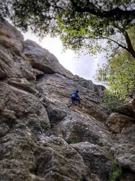 Onsight-soloing Senior. Photo by Wyatt.