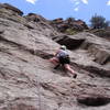 Nickie Kelly enjoying the slab moves on Skimbleshanks.