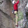 Nickie Kelly, concentrating on one of the initial bulges on this 5.10b route.