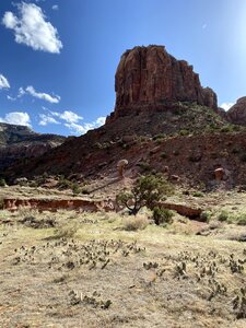 Looking up at the crag from the lot.