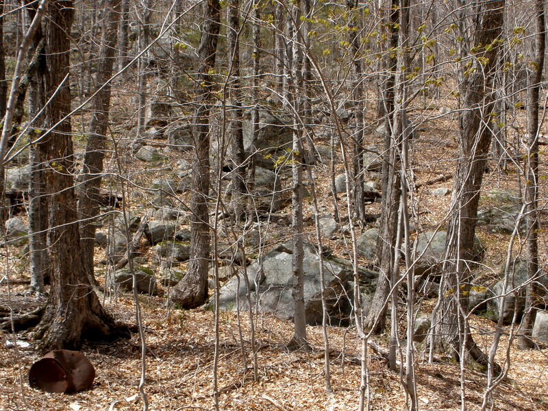 The Boulder Field photo taken before "leaf out"
