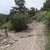 For Main Elk Creek wall, go left. The trail leads to the river, which you can follow to get to the far left of Main Elk. Or branch off at a dry gully to some small switchbacks to get to the right side of Main Elk, staying right for Pup Tent.