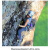 Ania on Mononucleosis (5.8)