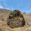 Humpty Dumpty Boulder, with routes (Left to Right) Pull Up, The Climb, Pinch