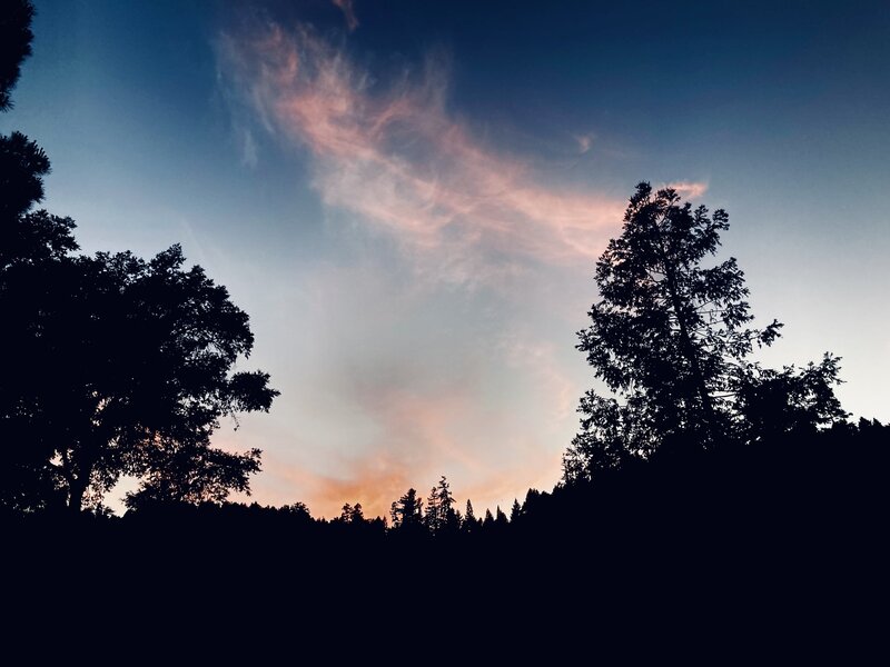 Redwood Coast sunset