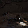 Wes Schwartz pushing into the night on the world's greatest Smith Rock wall climb test piece. 
<br>

<br>
Artem Vee photo