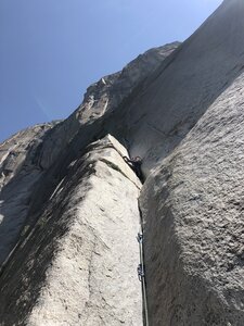 Nora, aka Bad-ass, on lead.