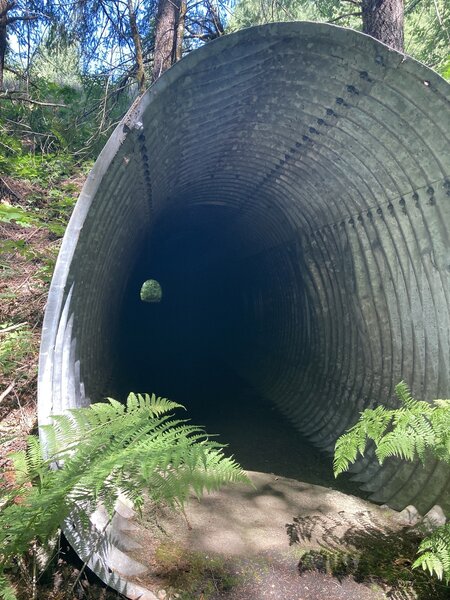 Wildlife tunnel to the climbing area. Not bad.