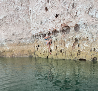 Center route on Home for Dinner