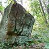 This boulder does not see a lot of traffic!