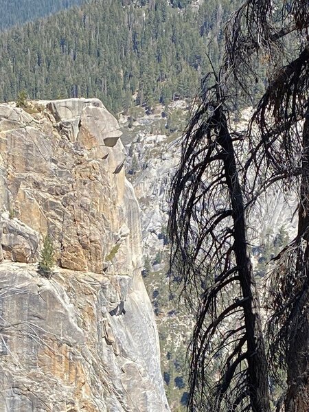 The watchman on the watchtower