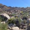 To get to Rattlesnake Buttress branch up the right wash (indicated) rather than the left.