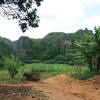 Named after the farmer Raul who owns particular area and has a small private tobacco field at the base of the crags. We solicited a local kid to show us the way through the farm.