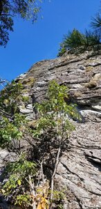 Looking up at the start