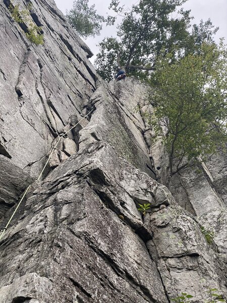 Climb the chimney flake to belay from the tree atop pitch 1