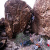 Biscuit relaxing at the end of the hard climbing