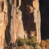 George Perkins on route. Photo taken with a 600mm lens from the opposing canyon rim.