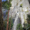 Matt Dinome setting up to rap Church Bowl Tree, Feb 2021.