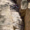 Cara belaying me on what I think is the best 5.8 at Rose!
<br>

<br>
Photo by Cara Backman.