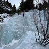 Willow Gully, climb up between the willows and boulder, fun stump move leads low angle romp to tree anchor.
<br>
Ice 101 is the left line going between the trees.