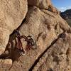 The rap anchors on boulder above north end of Asian Friends Buttress.