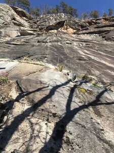 Seven and Seven  on a beautiful day 3/8/21 With permission from David Wilbanks "Snake Dave"