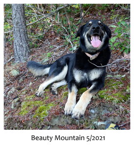 Good Dog, Happy Man. Thunder Buttress 5/2021