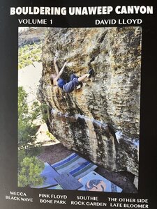 Volume one of the official guidebook by David Lloyd and contributing author Jared LaVacque is now out as of March 11th, 2022.