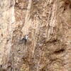 A climber on Alicía (7b+), approaching the last bolt before the anchor