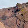One of the great stems in the canyon.