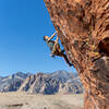 Grateful for Desert Sandstone in our backyard