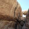 Black Max (5.11d), Joshua Tree NP