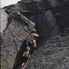 Wheat Thin, 5.9, A2 in 1980. FA Jamie Cunningham and Rich Leswing. I made a wager in the Chimney Pond Ranger Station climber's log book I would buy a case of Molson to ever frees the route. No takers. Probably goes at 5.10.