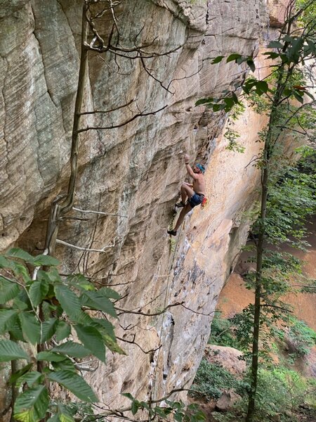 Rock Climb Guernica Second Anchors Red River Gorge